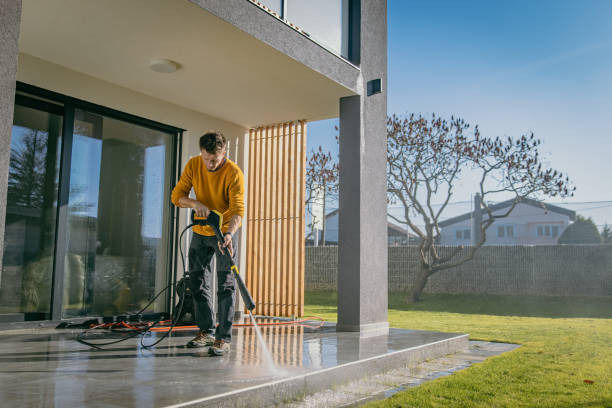 Best Sidewalk and Walkway Cleaning  in Chicago, IL